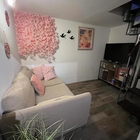 公寓 Duplex Romantique Avec Beau Jardin A Pieds *