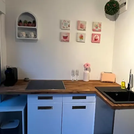 Duplex Romantique Avec Beau Jardin A Pieds 公寓 滨海圣芒德里耶