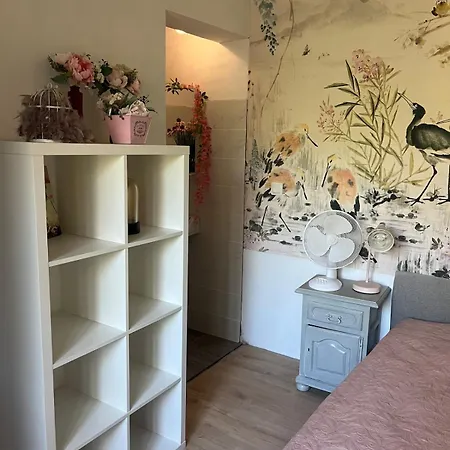 Duplex Romantique Avec Beau Jardin A Pieds Saint-Mandrier-sur-Mer