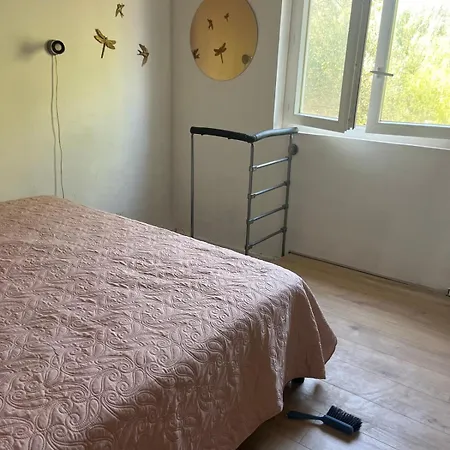 Duplex Romantique Avec Beau Jardin A Pieds 公寓 滨海圣芒德里耶