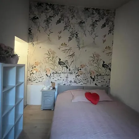Duplex Romantique Avec Beau Jardin A Pieds *