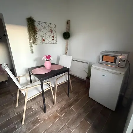 公寓 Duplex Romantique Avec Beau Jardin A Pieds 滨海圣芒德里耶