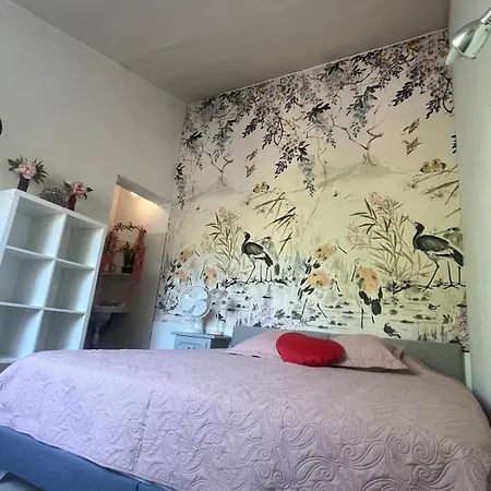 公寓 Duplex Romantique Avec Beau Jardin A Pieds *