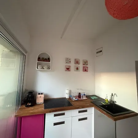 Duplex Romantique Avec Beau Jardin A Pieds Lejlighed *