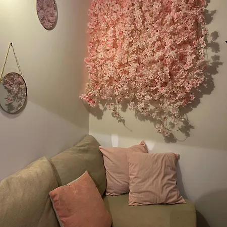 Lejlighed Duplex Romantique Avec Beau Jardin A Pieds Saint-Mandrier-sur-Mer